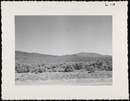Desert valley with sagebrush, copy 2
