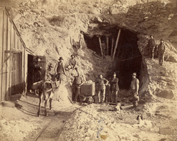 Nevada Miners
