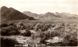 Calico Hills Near Reno, Nevada