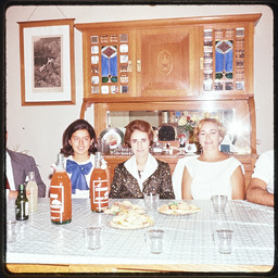 Women sitting at home dinner table