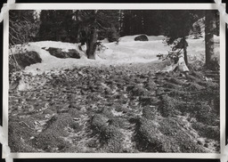 Ripple marks on gravel covered snow, copy 3