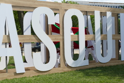 Basque sign and flag