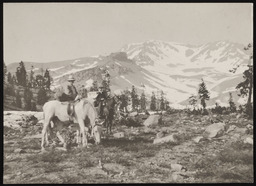 Florence Church and unknown person on horseback trip from Yosemite to Mount Shasta