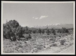 Ruby Mountains from southeast beyond Wells