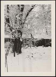 Yard outside Church residence covered with snow, copy 1