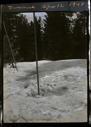 Dimpled snow around pole