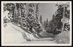 Winter in the Sierras, plowed road