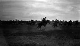 Bronc riding rodeo