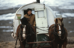 Herder moving camp wagon with horses