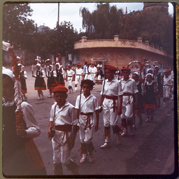 Traditional parade, view of children