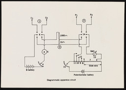 Diagrammatic apparatus circuit