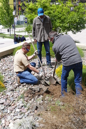 Digging hole for Tree of Gernika planting