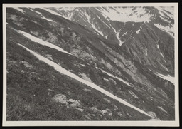 Remains of snow at Thamsar Pass