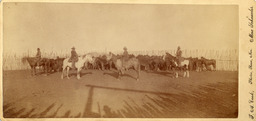 Four cowboys on horseback in corral with herd of horses and burros