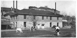Dairy Building, 1920