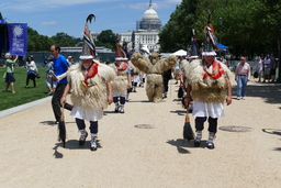 Joaldunak procession, front view