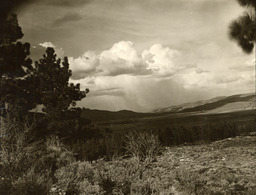 Washoe Valley landscape