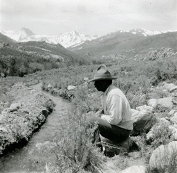 Lorenzo D. Creel in Ruby Valley