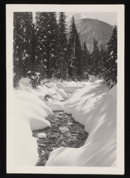 Stream on snow course in Selkirk Mountains