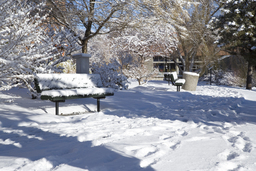 Bench, Anasari Business Building, 2007