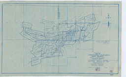 Composite Map of Hawthorne-Alum Creek Mining District Formerly Mt. Cory District "Lucky Boy"