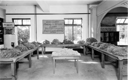 Elko County Mineral and Wool Exhibit, Transcontinental Highways Exposition, Reno, Nevada, 1927