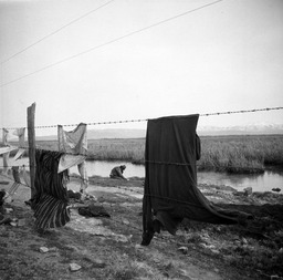 Laundry drying on wire fence