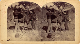 Men packing load onto mule