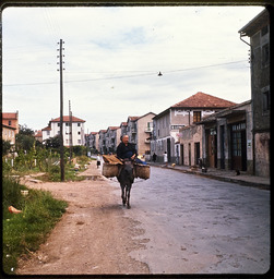 Man riding donkey on street