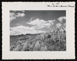 Ten Mile and brush fence, copy 2