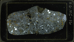 Thin section 56NC16, rhyolite (polarized)