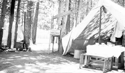 Camp Carson Valley