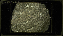 Thin section 54NC46, tactite (polarized)