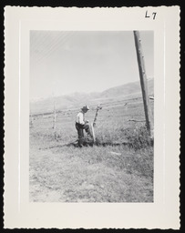 Worker at wire fence, copy 2