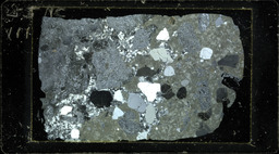 Thin section 55NC111, chalcedonitized rhyolite (polarized)