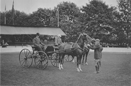 Newport Horse Show, ca. 1925