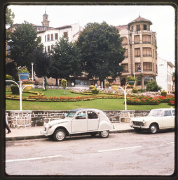 Cars parked in front of garden and buildings