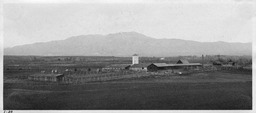 Agricultural Experiment Station Stock Farm, Valley Road Field Laboratory, ca. 1920