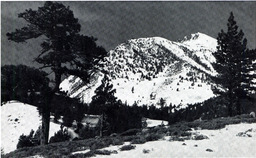 Approach to Mt. Rose, Nevada