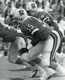 Henry Rolling, Tampa Bay, circa 1988