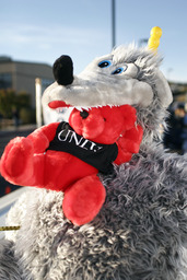 Toy wolf eating UNLV teddy bear, Mackay Stadium, 2005