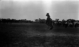 Bronc riding rodeo