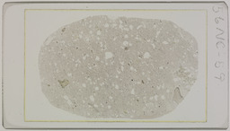 Thin section 56NC59, rhyolite