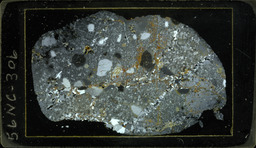 Thin section 56NC306, rhyolite (polarized)