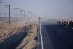 Sheepherders and sheep being driving down paved road