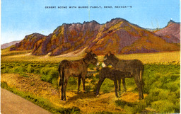 Desert Scene With Burro Family, Reno, Nevada