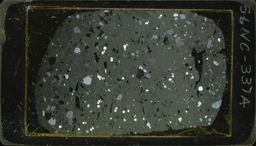 Thin section 56NC337a, rhyolite (polarized)