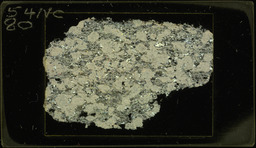 Thin section 54NC80, quartz-sericite schist (polarized)