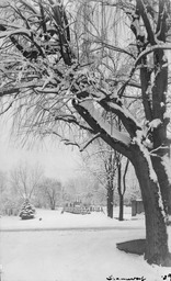 Winter on campus, Tram and Manzanita Lake, 1929