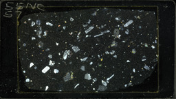 Thin section 55NC57, andesite (polarized)